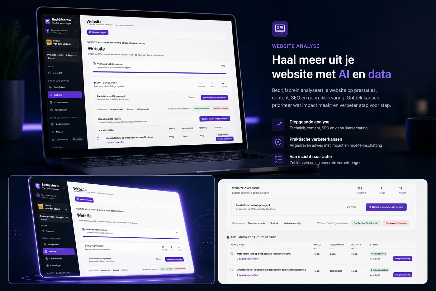 Websiteanalyse in Bedrijfsbrein